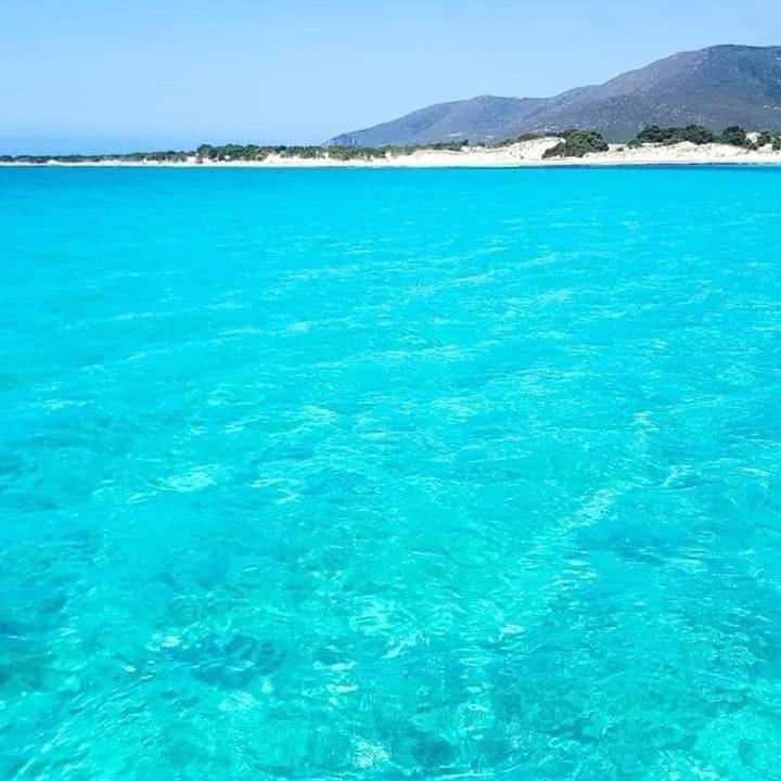Casa Vacanze"Il Bouganville" Carbonia Kültér fotó